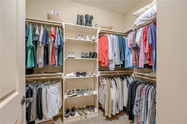 spacious closet with carpet