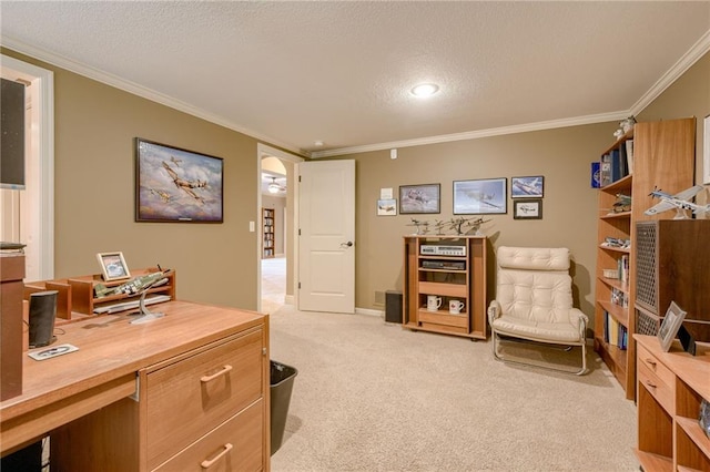 living area featuring ornamental molding, light carpet, and a textured ceiling