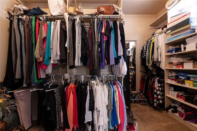 spacious closet with carpet floors