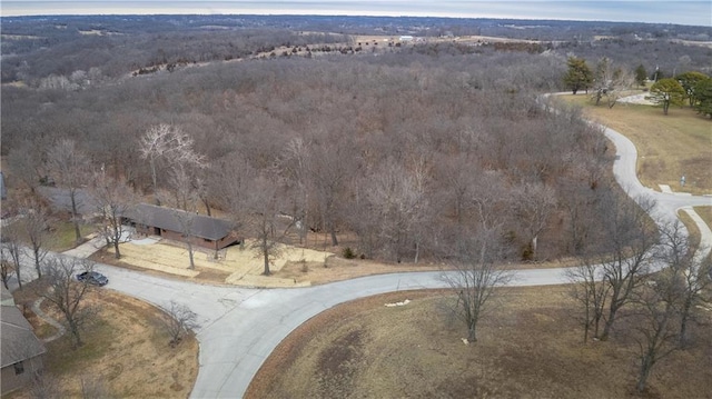 909 Bell Dr, Excelsior Springs, MO 64024 - drone / aerial view of a heavily wooded area