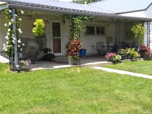 rear view of property with a patio area, a yard, and metal roof
