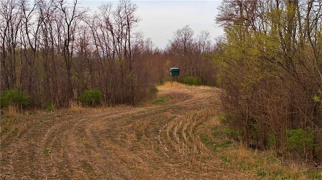 SW Old Highway Rd, Rushville, MO 64484 - photo 3