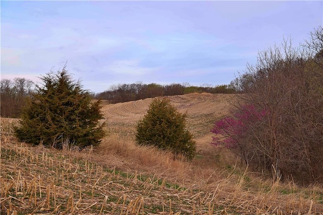 SW Old Highway Rd, Rushville, MO 64484 - photo 4