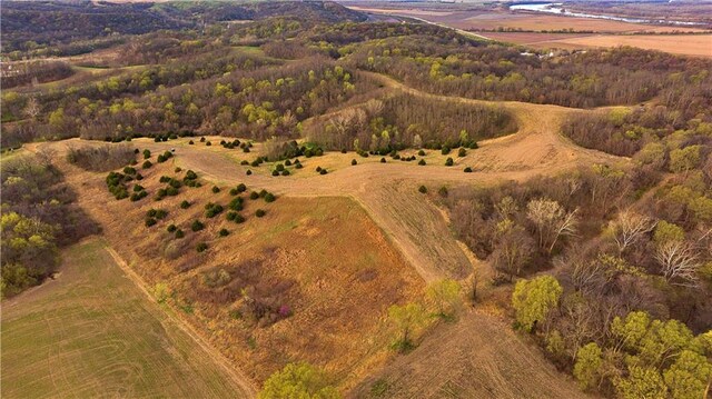 SW Old Highway Rd, Rushville, MO 64484 - photo 6