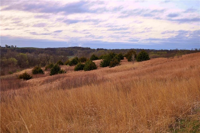 SW Old Highway Rd, Rushville, MO 64484 - photo 9