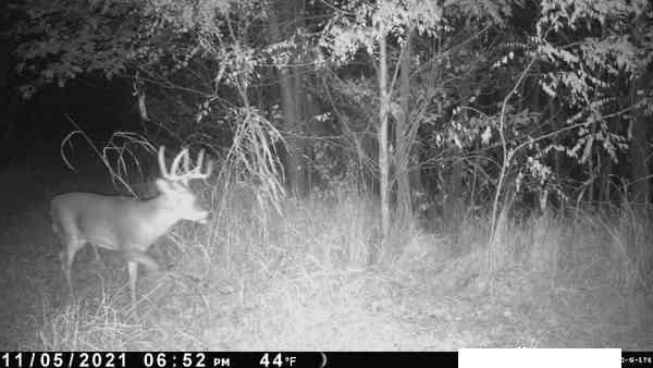 SW Old Highway Rd, Rushville, MO 64484 - photo 10