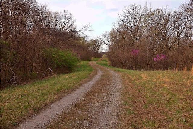 SW Old Highway Rd, Rushville, MO 64484 - photo 11