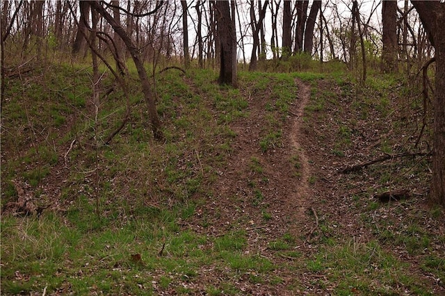 SW Old Highway Rd, Rushville, MO 64484 - photo 14
