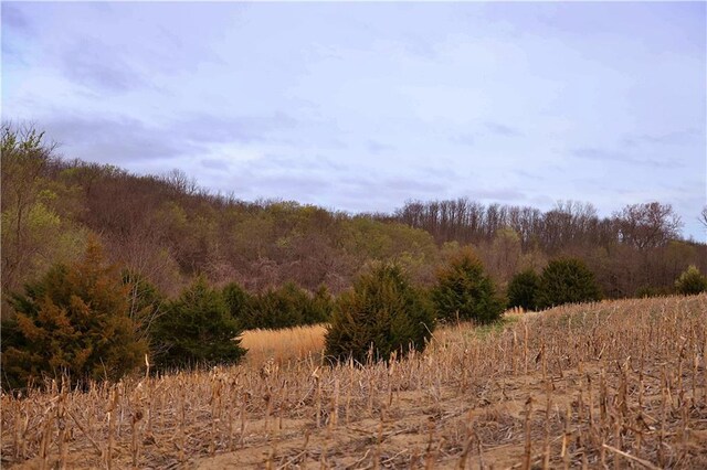 SW Old Highway Rd, Rushville, MO 64484 - photo 20