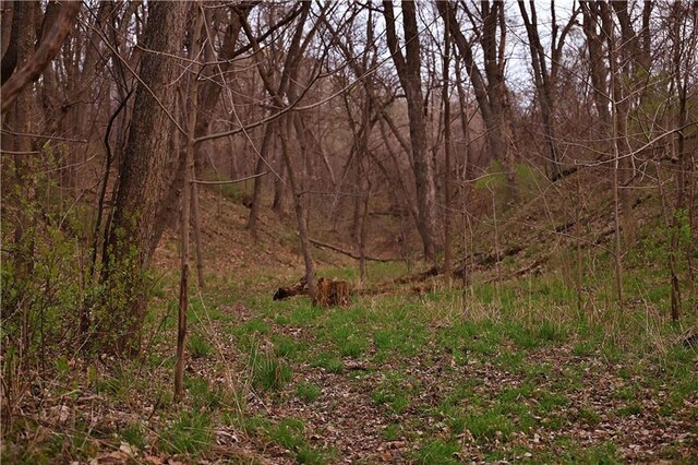 SW Old Highway Rd, Rushville, MO 64484 - photo 21