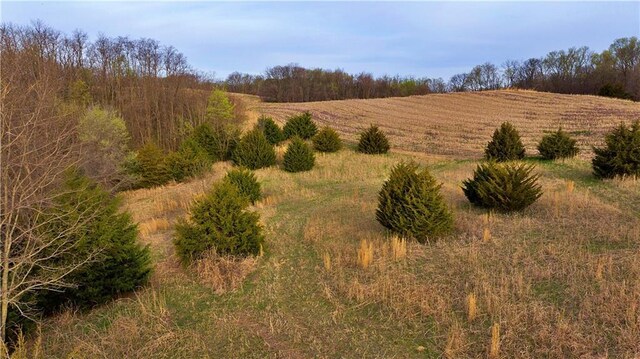 SW Old Highway Rd, Rushville, MO 64484 - photo 24