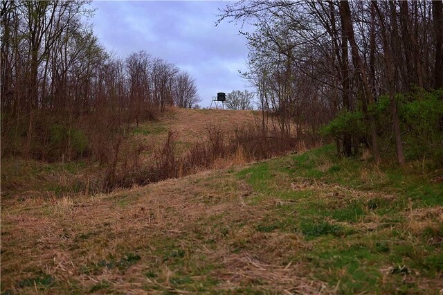 SW Old Highway Rd, Rushville, MO 64484 - photo 27