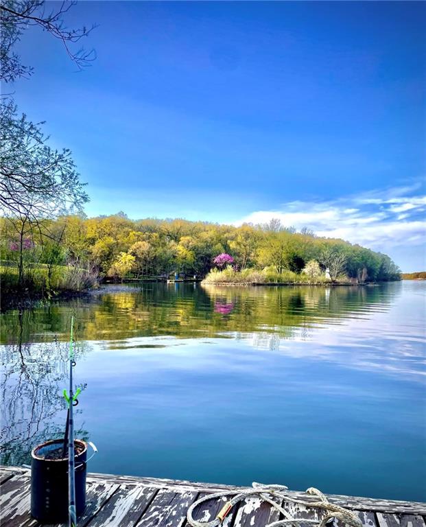 518 SW Lakeside Dr, La Cygne, KS 66040 - dock featuring a water view and a wooded view