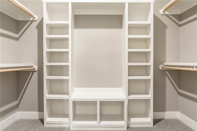 16827 W 164th Ter, Olathe, KS 66062 - walk in closet with carpet floors