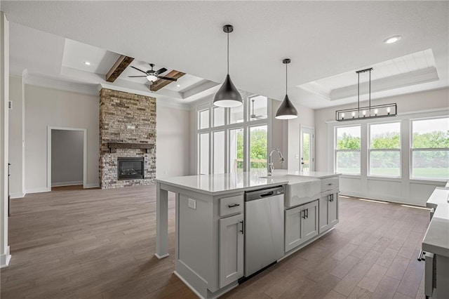 19389 W 114th Ter, Olathe, KS 66061 - kitchen with dishwasher, a tray ceiling, a sink, wood finished floors, and ceiling fan