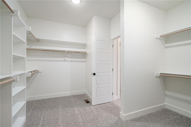 19389 W 114th Ter, Olathe, KS 66061 - walk in closet with carpet flooring