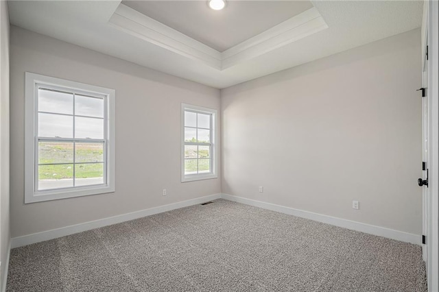 19389 W 114th Ter, Olathe, KS 66061 - carpeted spare room featuring plenty of natural light, baseboards, a raised ceiling, and crown molding