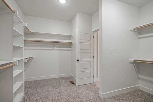 19389 W 114th Ter, Olathe, KS 66061 - walk in closet featuring carpet floors