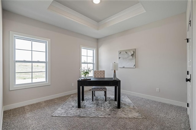 19389 W 114th Ter, Olathe, KS 66061 - carpeted home office featuring a raised ceiling and ornamental molding