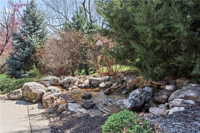 4319 N Mulberry Dr, Kansas City, MO 64116 - view of local wilderness