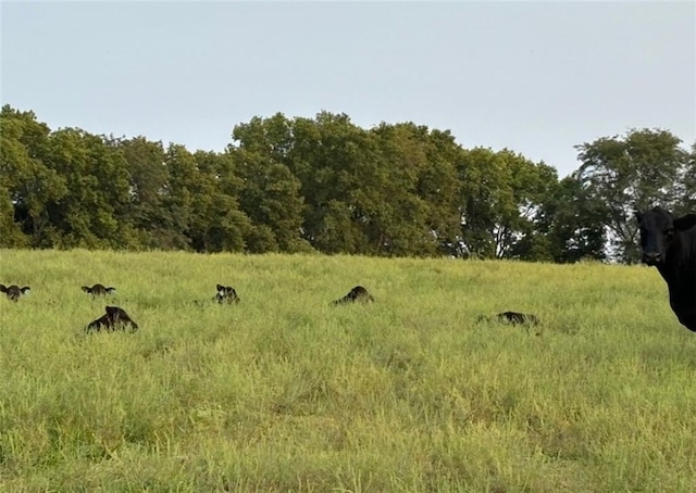 SE 95th Rd, Agency, MO 64401 - photo 12