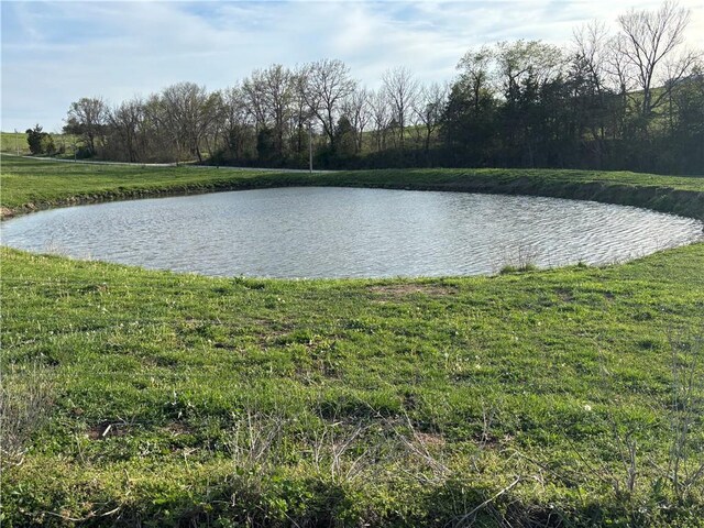 SE 95th Rd, Agency, MO 64401 - photo 16