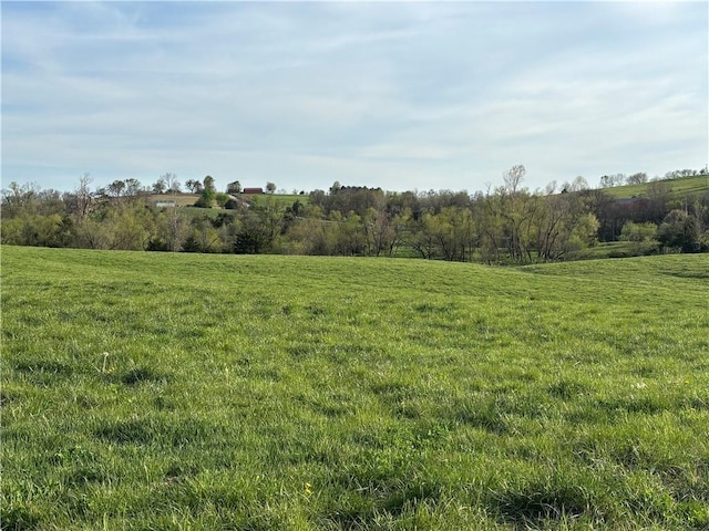 SE 95th Rd, Agency, MO 64401 - photo 18