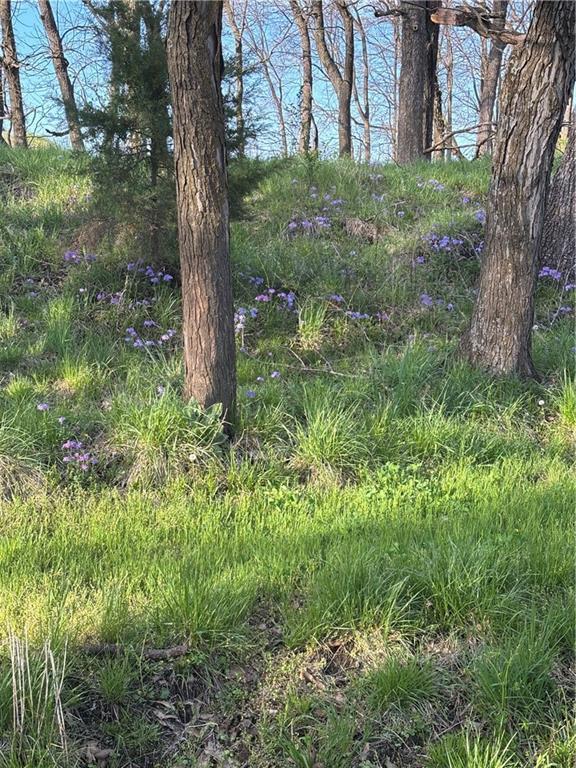 SE 95th Rd, Agency, MO 64401 - photo 19
