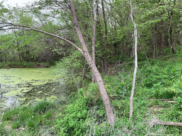 7830 Barkertown Rd, Odessa, MO 64076