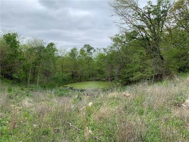 7830 Barkertown Rd, Odessa, MO 64076