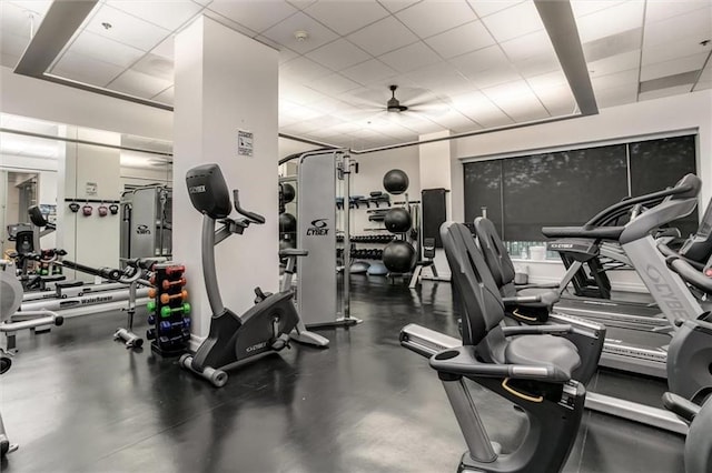 gym featuring a drop ceiling and a ceiling fan