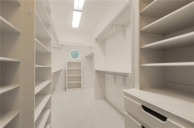 spacious closet with light colored carpet