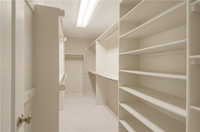 walk in closet with light carpet