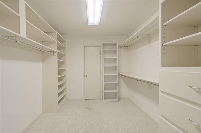walk in closet featuring light carpet