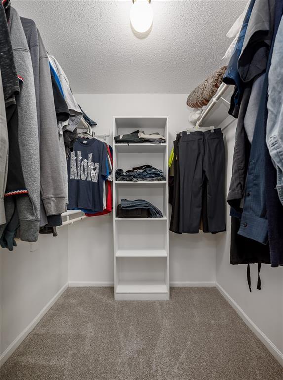 walk in closet featuring carpet flooring