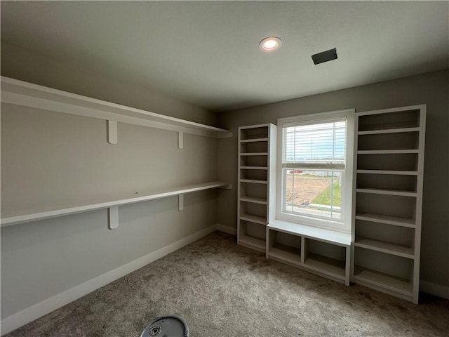 16941 S Brentwood St, Olathe, KS 66062 - walk in closet with carpet