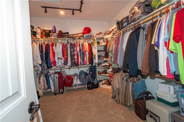 spacious closet with carpet flooring