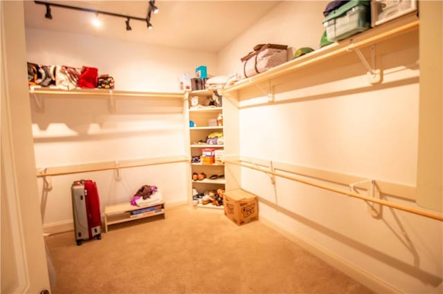 walk in closet featuring carpet flooring