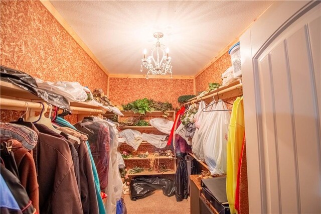 walk in closet featuring a chandelier and carpet flooring