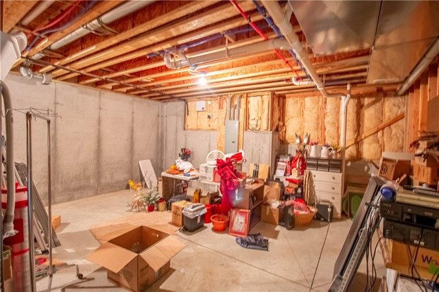 unfinished below grade area with electric panel