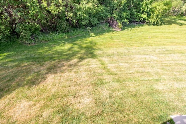 view of green lawn