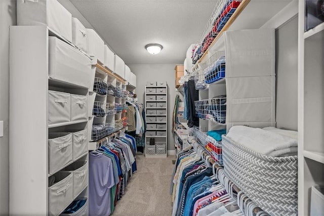 9874 Belmont Dr, Lenexa, KS 66227 - walk in closet with light colored carpet
