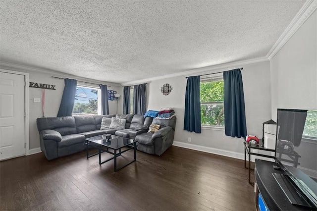 1340 E 85th St, Kansas City, MO 64131 - living area with dark wood-type flooring, a textured ceiling, and crown molding