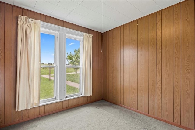 4933 SE Stubbs Rd, Tecumseh, KS 66542 - spare room featuring plenty of natural light, carpet floors, and wood walls