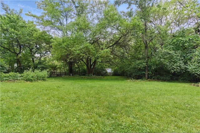 16524 Horton St, Stilwell, KS 66085 - view of yard