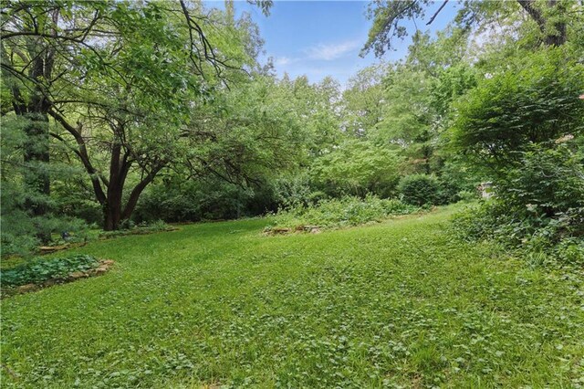 16524 Horton St, Stilwell, KS 66085 - view of green lawn with a view of trees