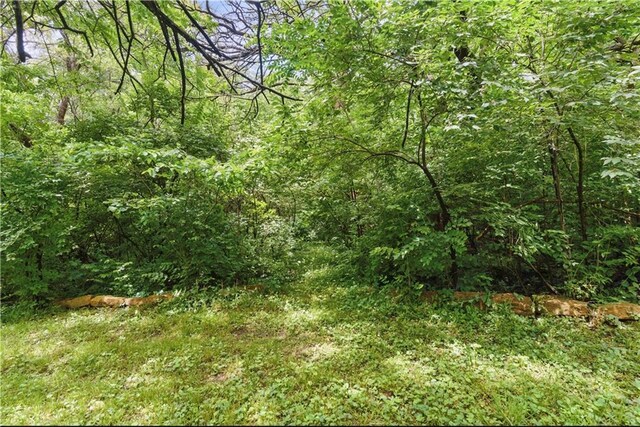 16524 Horton St, Stilwell, KS 66085 - view of wooded area