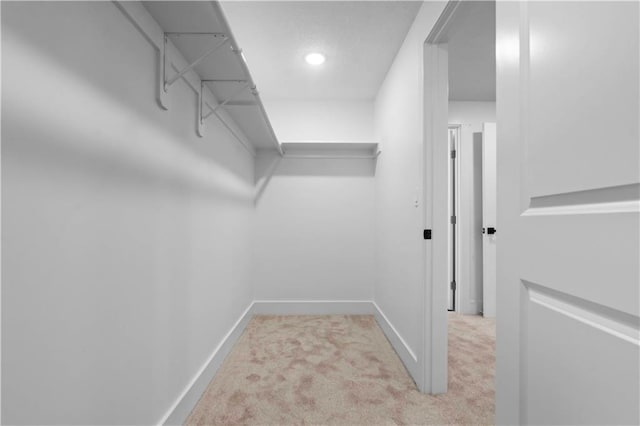 1808 SW 3rd St, Lees Summit, MO 64081 - walk in closet with carpet