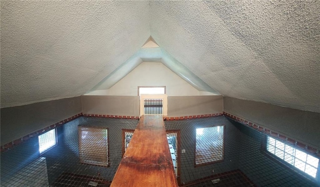 4015 Benton Blvd, Kansas City, MO 64130 - additional living space with vaulted ceiling, a textured ceiling, and healthy amount of natural light