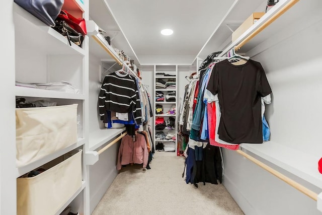 spacious closet featuring carpet